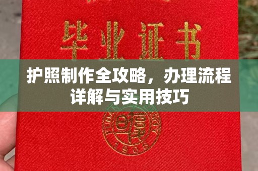 陆河护照制作全攻略，办理流程详解与实用技巧